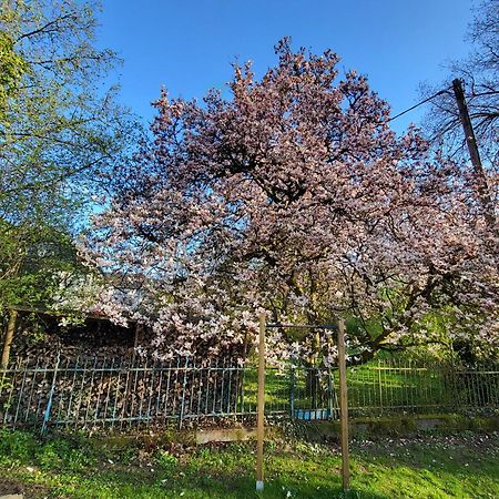 Bergischer Hof - Bergischer Hofgarten Windeck エクステリア 写真