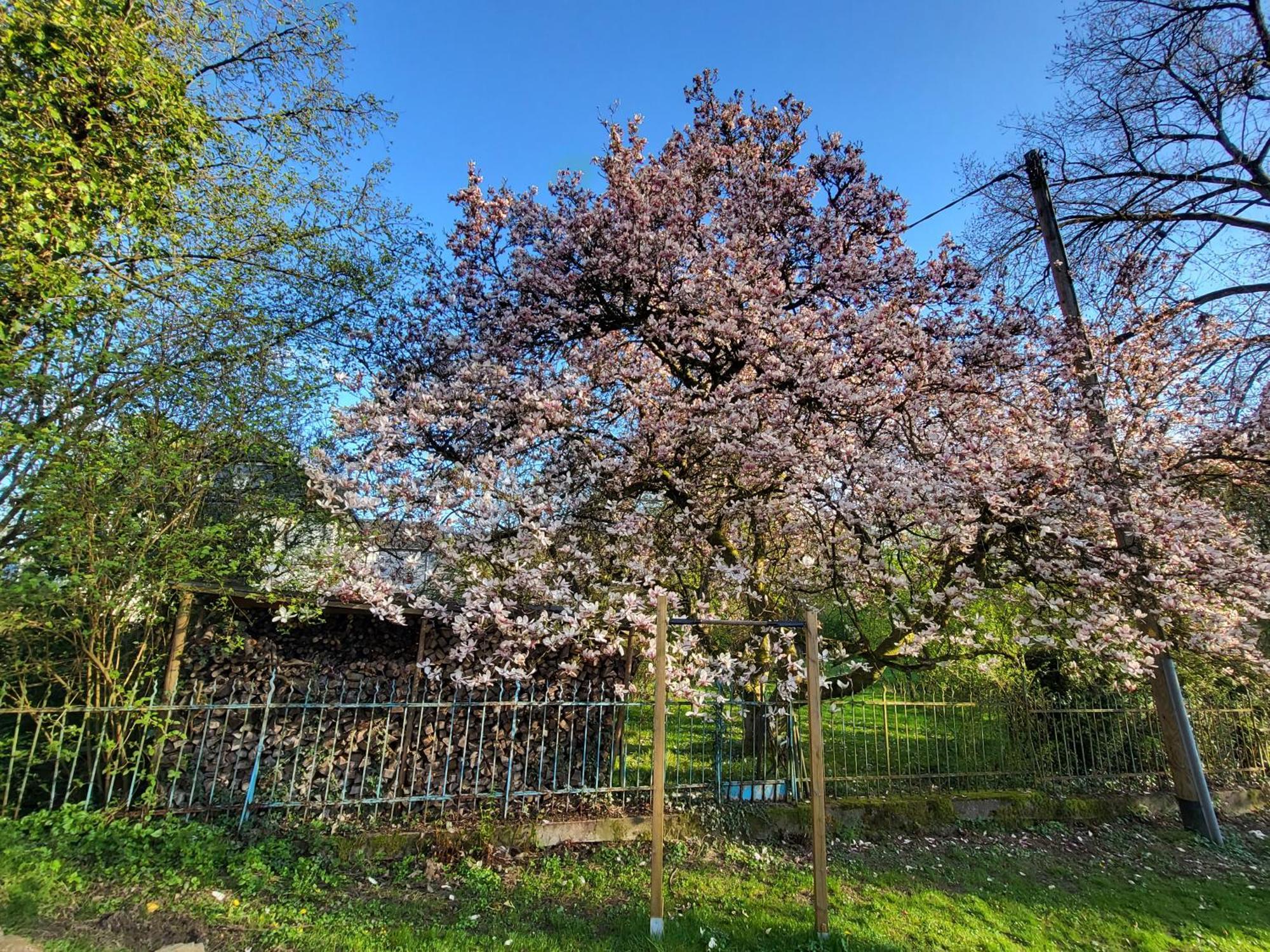 Bergischer Hof - Bergischer Hofgarten Windeck エクステリア 写真